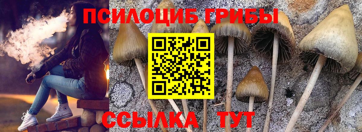 Сочи  Галлюциногенные грибы Psilocybe  Вход с VPN 