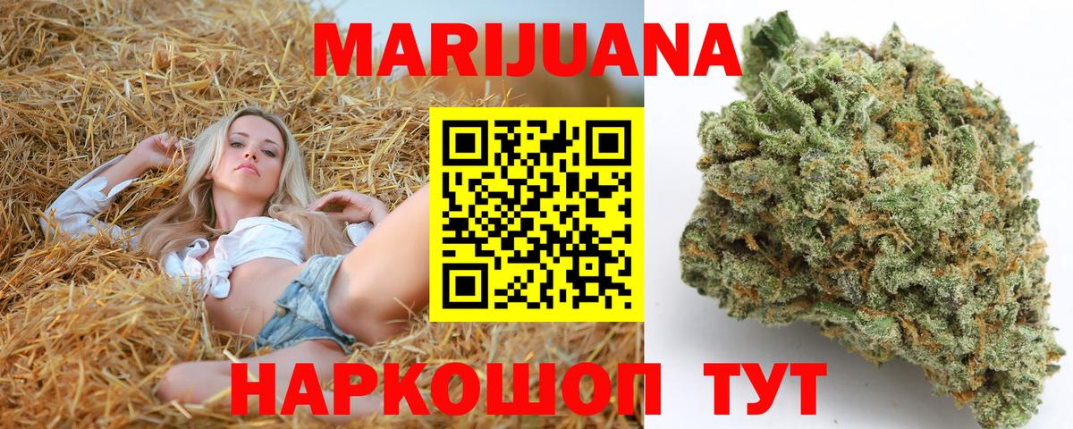 Конопля планчик Сочи